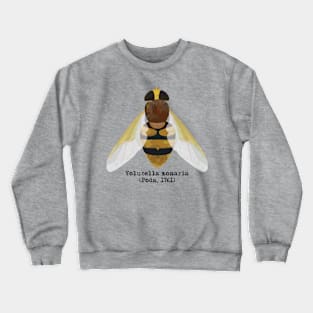 Hornet hoverfly Volucella zonaria. Crewneck Sweatshirt